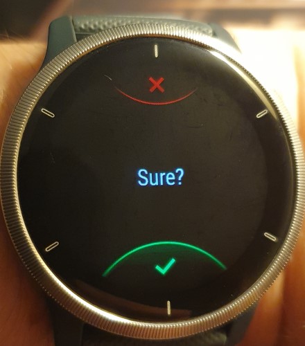 /remi/GarminHomeAssistant/raw/commit/3de2e25b5d46bde1e654aa49384698c9b80c0bea/images/confirmation_view.jpg